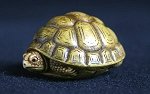 Green Tortoise Palm Charm